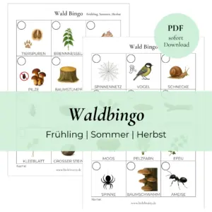 Waldbingo Spiel-Vorlage für den Frühling, Sommer oder Herbst